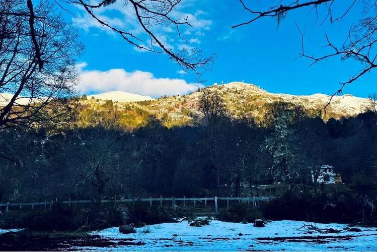 Parcela De 5,000 M2 En Curarrehue, Pucón
