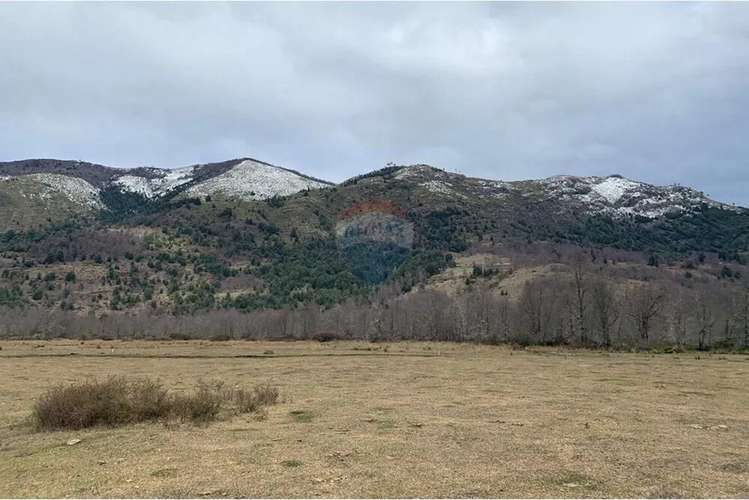 Parcela De 5,000 M2 En Curarrehue, Pucón - Imagen 5