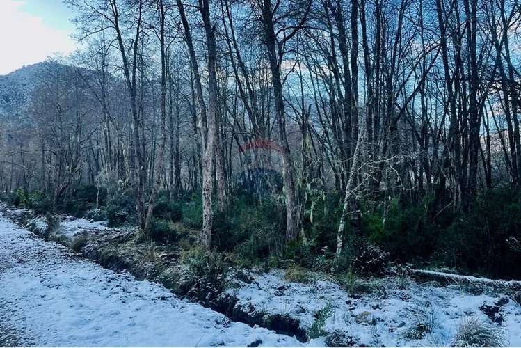 Parcela De 5,000 M2 En Curarrehue, Pucón - Imagen 4