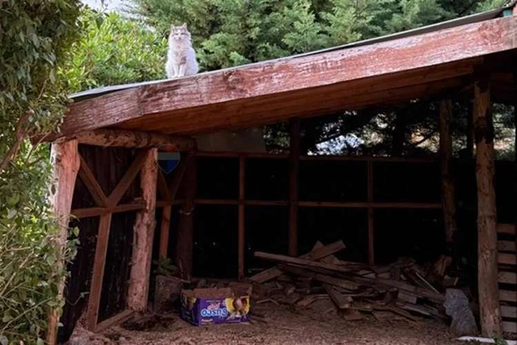 Arriendo Casa 3d 2b Camino Al Volcán, Pucón - Imagen 13