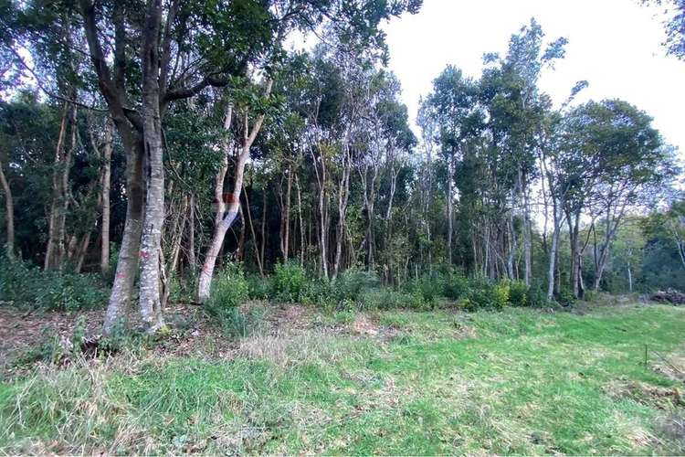Venta Parcela 5.000 M² Con Acceso A Río, Pucón