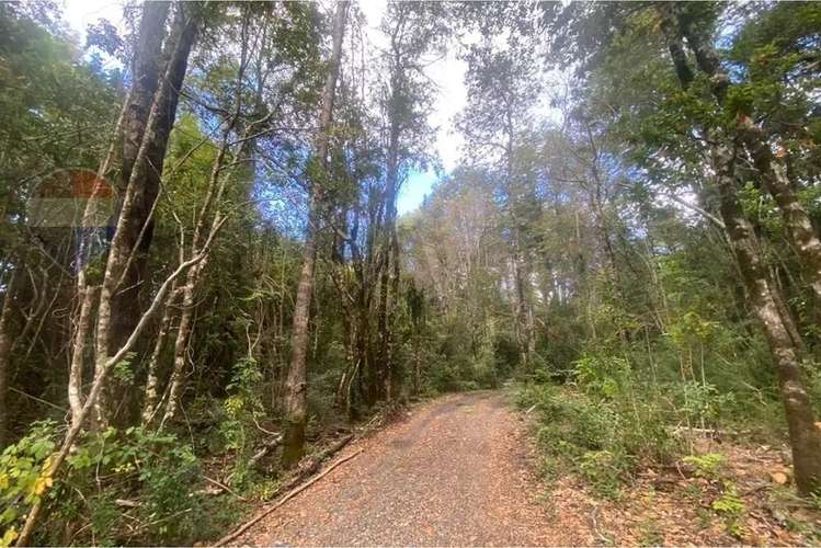 Casa En El Bosque En Venta 3d En Pucón - Imagen 23