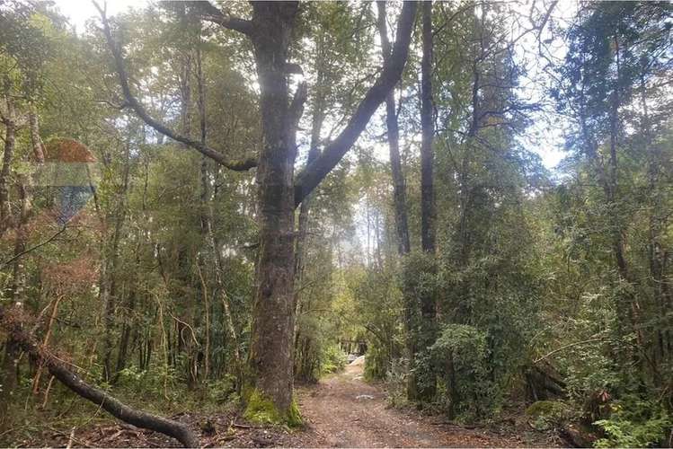 Casa En El Bosque En Venta 3d En Pucón - Imagen 24