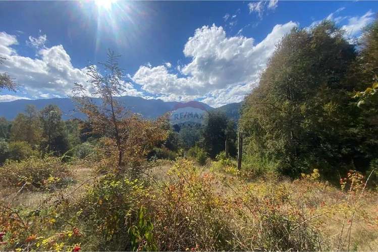 Parcela En Venta Sector Llancalil Pucón - Imagen 7