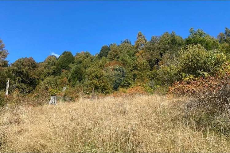 Parcela En Venta Sector Llancalil Pucón - Imagen 14