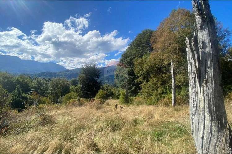 Parcela En Venta Sector Llancalil Pucón - Imagen 8