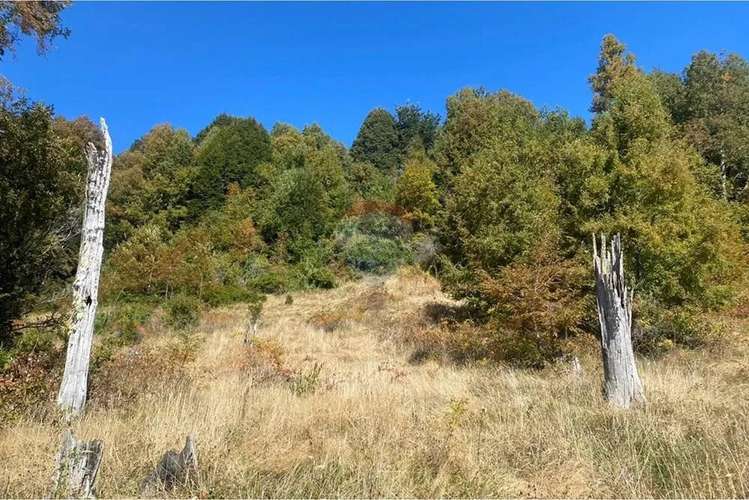 Parcela En Venta Sector Llancalil Pucón - Imagen 10