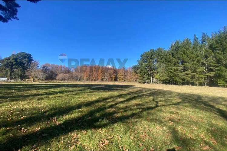 Venta De Parcelas Candelaria Pucón - Imagen 5