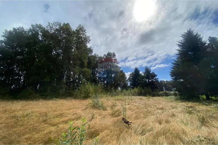 Venta De Parcelas Candelaria Pucón - Imagen 16