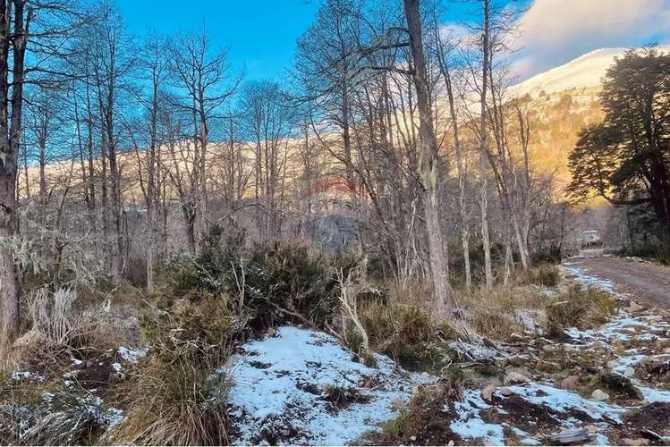 Parcela De 5,000 M2 En Curarrehue, Pucón - Imagen 18