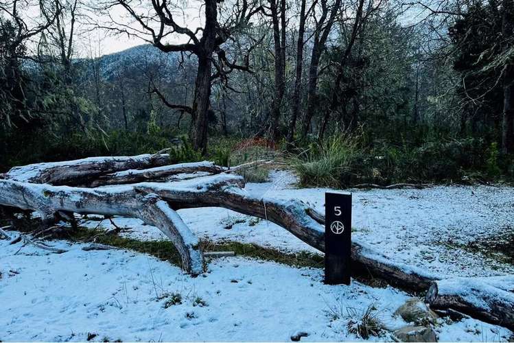 Parcela De 5,000 M2 En Curarrehue, Pucón - Imagen 12