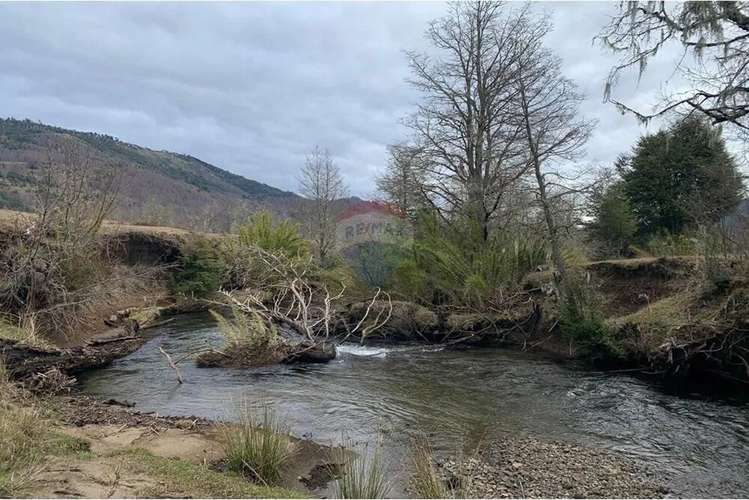 Parcela De 5,000 M2 En Curarrehue, Pucón - Imagen 7