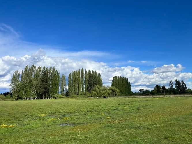 Se vende terreno de 12.500 m² en Los Ángeles