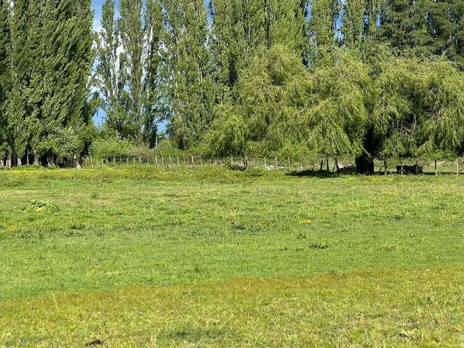 Se vende terreno de 12.500 m² en Los Ángeles