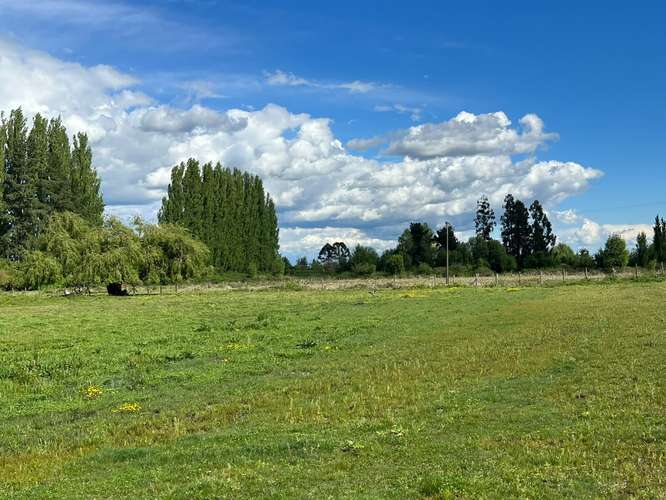 Se vende terreno de 12.500 m² en Los Ángeles