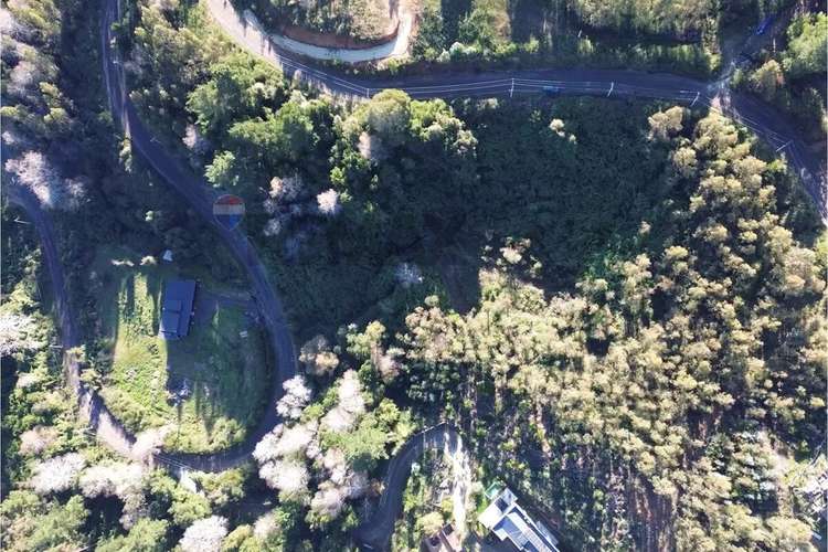 Terreno Nonguén 3.000m² Útiles Urbanizado
