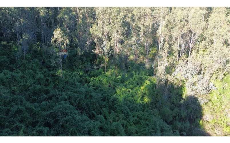 Terreno Nonguén 3.000m² Útiles Urbanizado