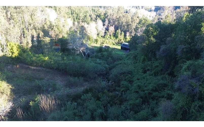 Terreno Nonguén 3.000m² Útiles Urbanizado