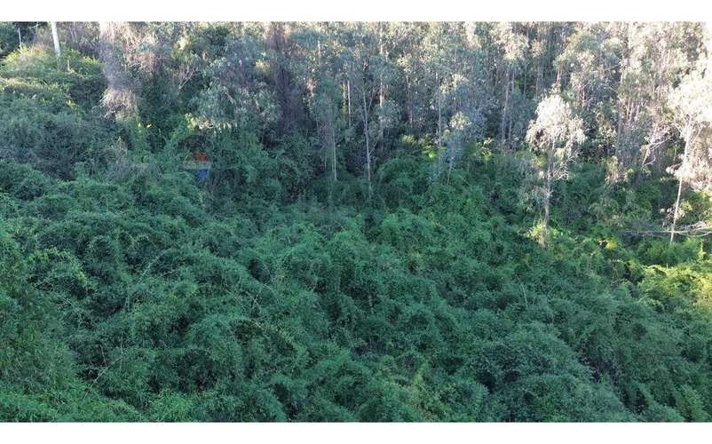 Terreno Nonguén 3.000m² Útiles Urbanizado