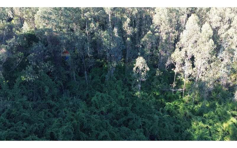 Terreno Nonguén 3.000m² Útiles Urbanizado