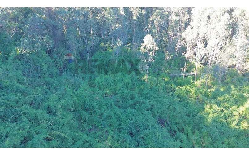 Terreno Nonguén 3.000m² Útiles Urbanizado