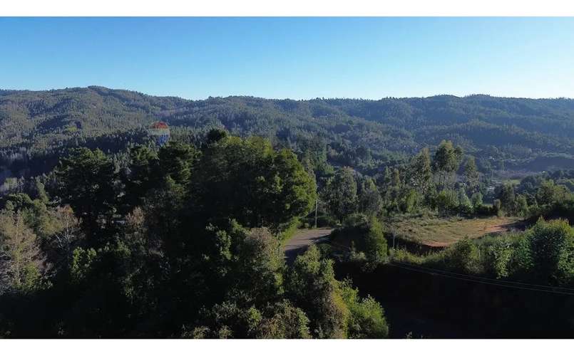 Terreno Nonguén 3.000m² Útiles Urbanizado