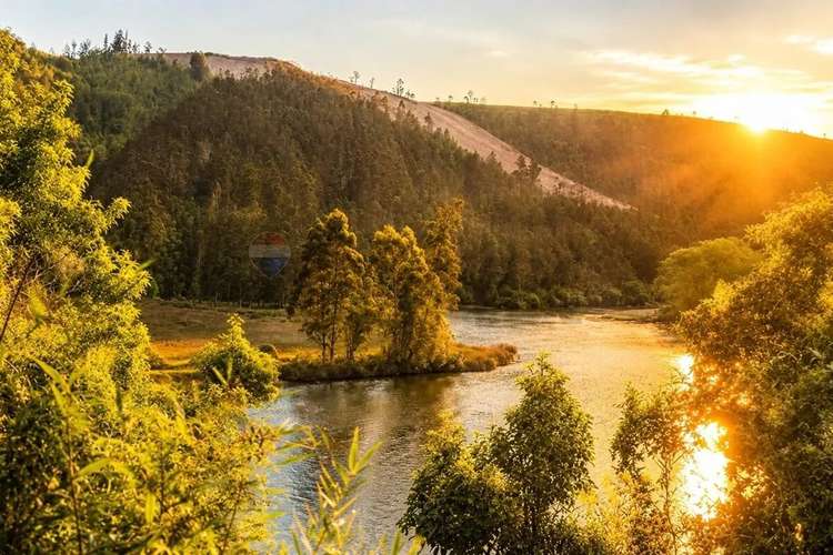 Terreno En Valdivia: Naturaleza Y Comodidad