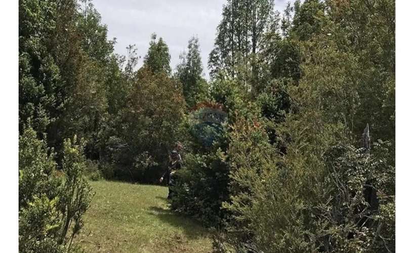 Espectaular Parcela En Tres -chiflones, - Imagen 13