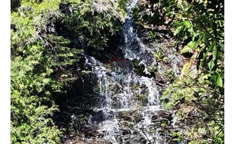 Espectaular Parcela En Tres -chiflones, - Imagen 17
