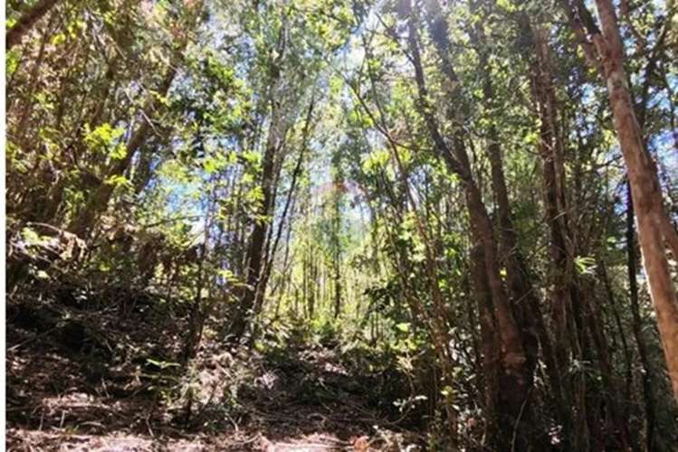 Espectaular Parcela En Tres -chiflones, - Imagen 4