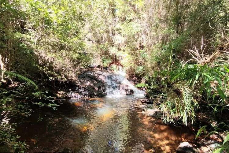 Espectaular Parcela En Tres -chiflones,