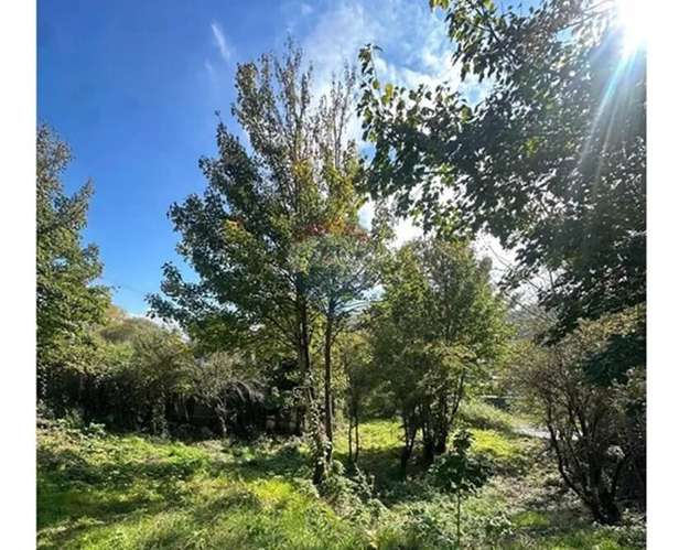 Terreno Para Proyecto Inmobiliario