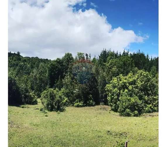 Hermosa Parcela En Tres Chiflones