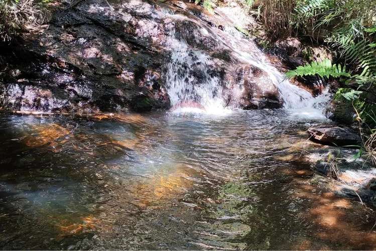 Hermosa Parcela En Tres Chiflones