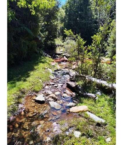 Hermosa Parcela En Tres Chiflones