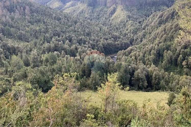 Hermosa Parcela En Tres Chiflones
