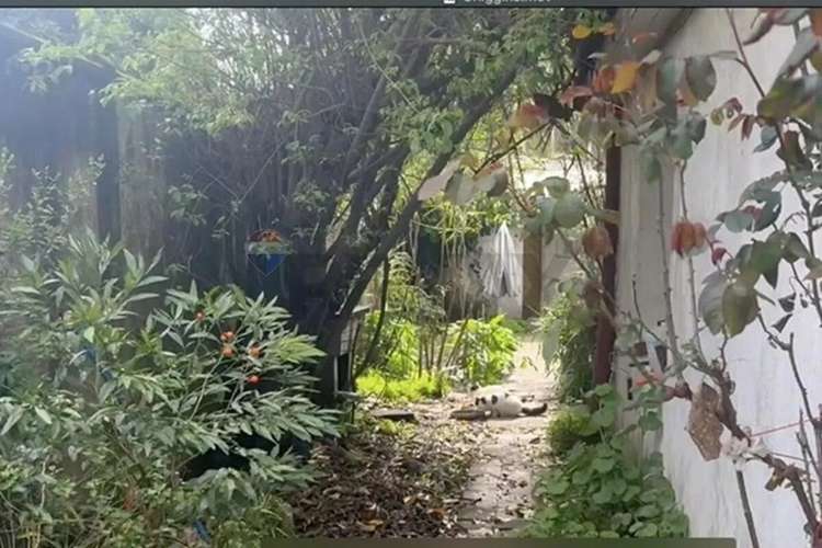 Terrreno En Venta-o´higgins,concepcion