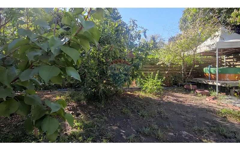 Venta De Casa Sector Las Camelias, Quillón - Imagen 13