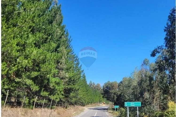 Parcela En Yumbel-rere,sector Santa Rosa - Imagen 9