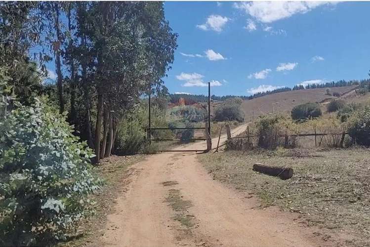 Parcela En Yumbel-rere,sector Santa Rosa - Imagen 13