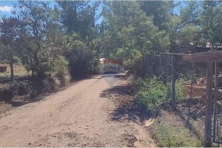 Parcela En Yumbel-rere,sector Santa Rosa - Imagen 15