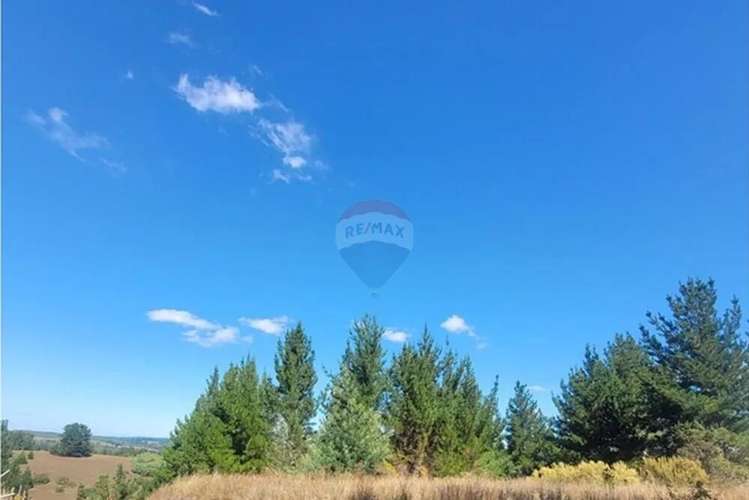 Parcela En Yumbel-rere,sector Santa Rosa - Imagen 5