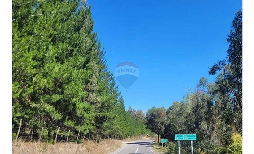 Parcela En Yumbel-rere,sector Santa Rosa - Imagen 4