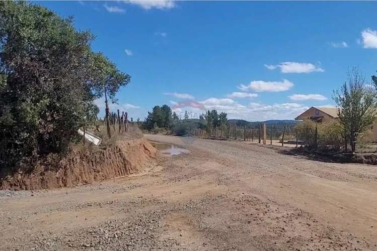 Parcela En Yumbel-rere,sector Santa Rosa - Imagen 14