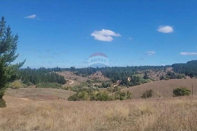 Parcela En Yumbel-rere,sector Santa Rosa - Imagen 2
