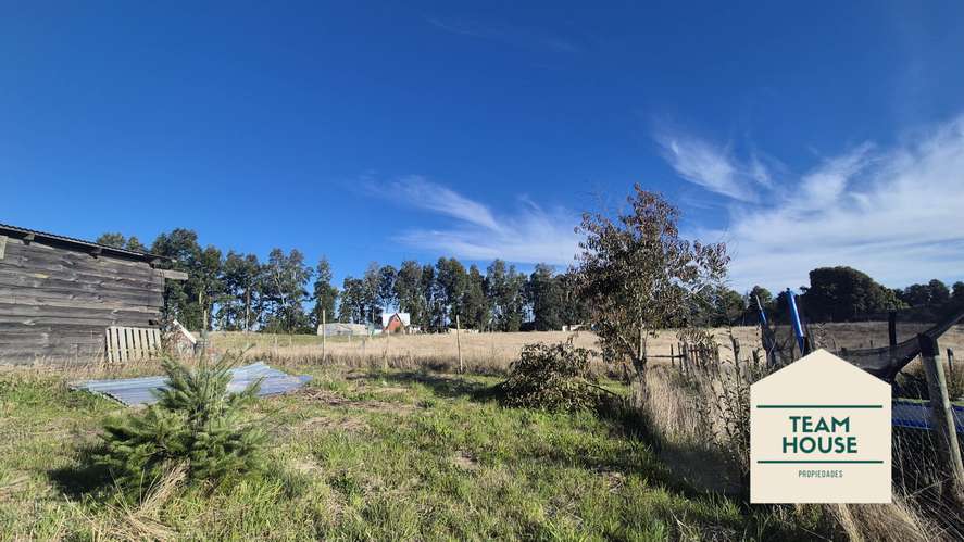 Parcela Tralcao, Los Ríos, Valdivia - Imagen 17
