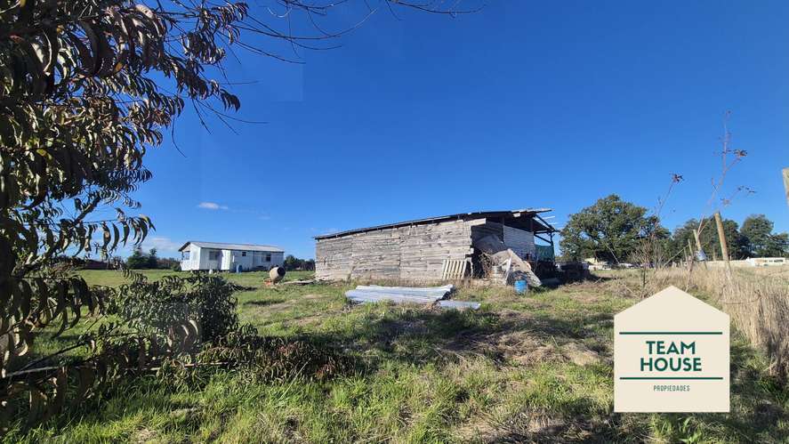 Parcela Tralcao, Los Ríos, Valdivia - Imagen 15