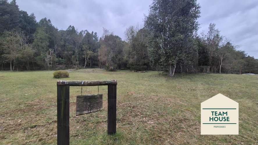 Reserva Anakena, Valdivia