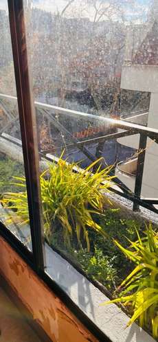 DPTO EN VENTA 2D, 2B, EST Y BOD, NECESITA REMODELACIÓN LEVE - Imagen 4