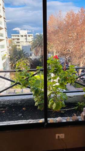 DPTO EN VENTA 2D, 2B, EST Y BOD, NECESITA REMODELACIÓN LEVE - Imagen 5